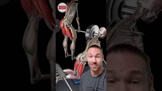 The BEST Hamstring Exercise You Need!