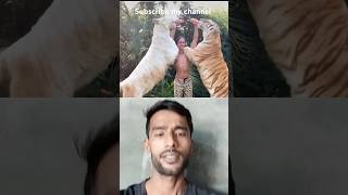 Amazing facts short!!#facts #shorts #ytshort youtube#Technical ajju