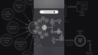 Machine learning and Deep learning models heavily depend on the quality of data they are trained on.