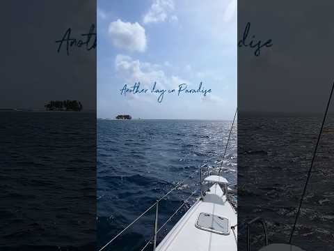 ⛵ Another day in paradise ☀️🌊🤿 Sailing around San Blas Islands 🇵🇦 Panama