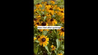 How I Felt After Quitting Vaping