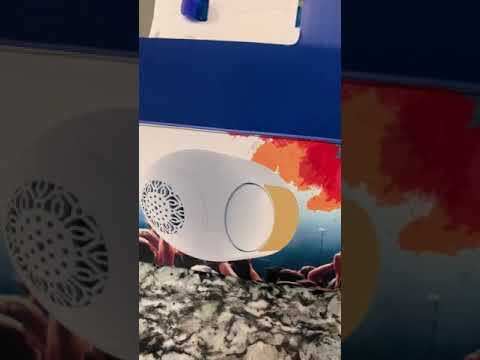 Devialet gold speaker Fake!!