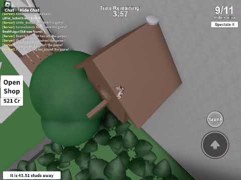 Hide and seek extreme
