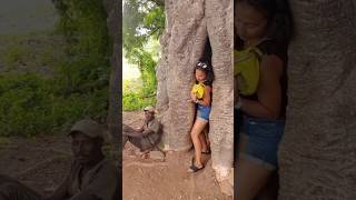 The Baobab Tree |#shrots #viralvideo #science #facts