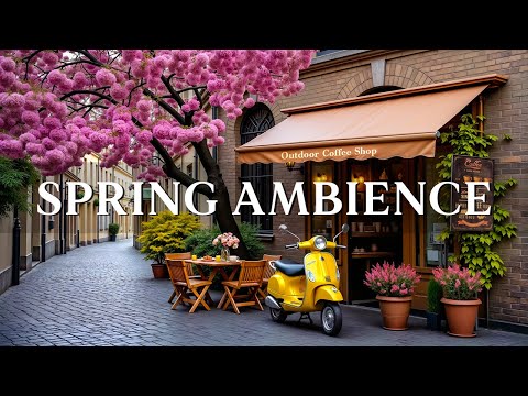 Spring Morning Jazz & Relaxing Bossa Nova Music at Outdoor Coffee Shop Ambience for Work, Study