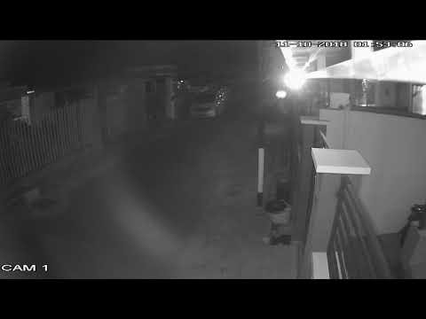 Gempa bumi lombok berefek sampai ke banyuwangi terekam cctv