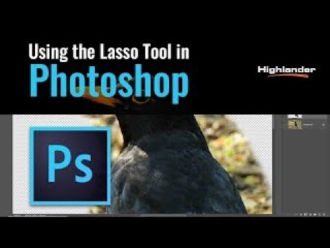 Tips for using the Photoshop Lasso tool