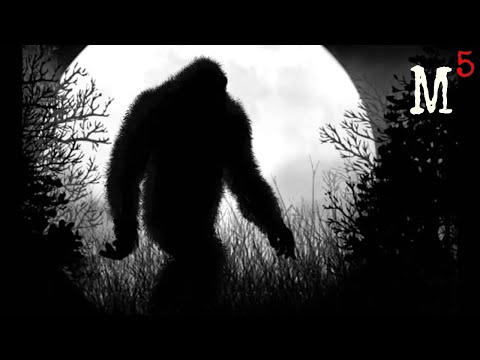 5 Mysterious Creatures Caught on Tape