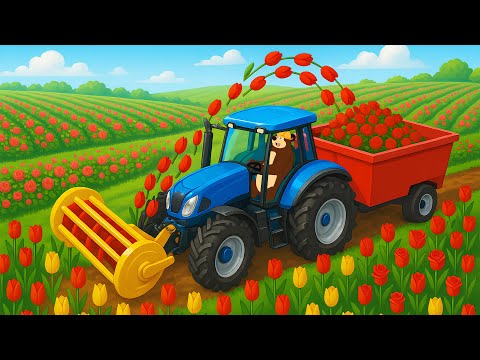 Farm Works: Tractor Growing & Harvesting Roses 🌹🚜 | Vehicles Farm Animated
