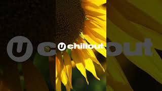 Summer Lo-Fi Vibes, Vol.7  #workchillout #chilloutmusic #lofi #chillworkmusic #calmmusic #beats