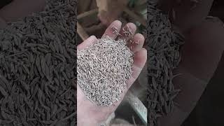 #jeera #please #gujrat  jeera factory 🏭