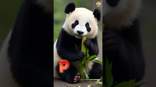 P is for Panda! 🐼 | Fun & Fast Learning Reel! #trending #panda #kungfupanda