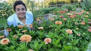 Full Late July Garden Tour | It's even BETTER than I could have Dreamed of!