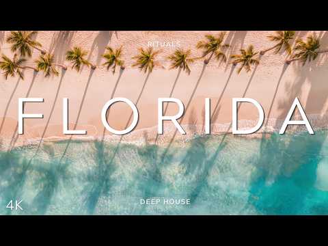 MIAMI PALM PARADISE | 4K UHD | FLORIDA AFRO CHILL | RITUALS #48