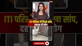 Snake seen in ITI campus, people in panic #snake #snakevideo #viralvideo #mpnews #seoni