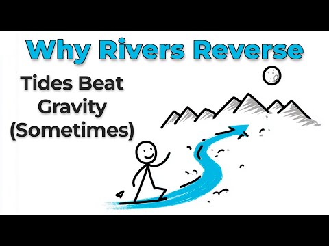 Why Rivers Flow Backwards (And What’s Really Pushing Them)