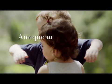 Educación Temprana | LA EDUCACIÓN COMIENZA MUCHO ANTES DE LA ESCUELA | Brain Matters