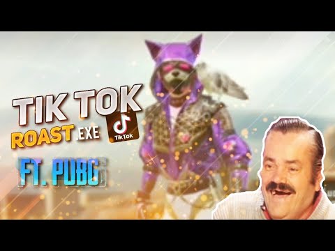 YOUTUBE VS TIK TOK.EXE feat.pubgmobile