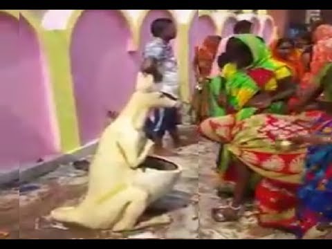 Indian women worship Dustbin - Try not to Laugh