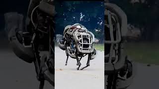 Boston Dynamics 4 legged 20MPH robot! #shorts