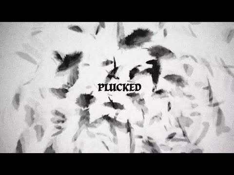 Destroy Boys - Plucked (Lyric Video)