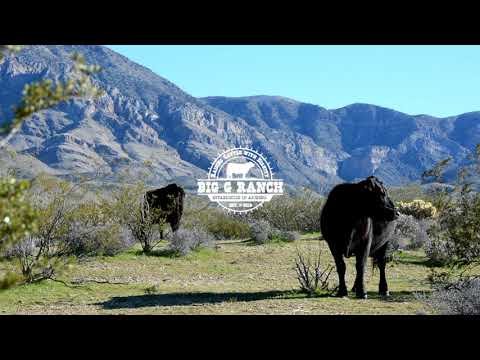 Big G Ranch Launch Intro