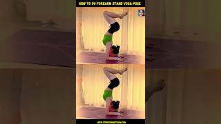 How to do Forearm Stand Yoga Pose #yogapose #yogaasana #forearms