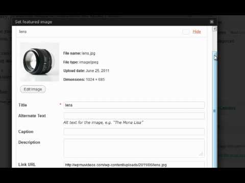 Featured Images