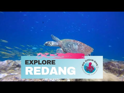 Explore: Redang - Big Ocean Dive