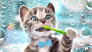 Cute Cat’s Summer Adventure to Kitten’s Birthday! ☀️🐱🎈 Funny Animals stories with Crumbs