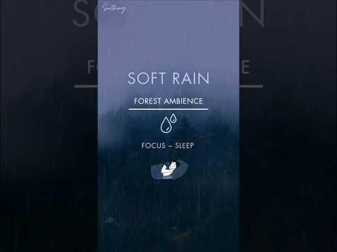 Soft Rain In Forest | Full Video On The Channel #rain #relaxing #meditation #sleep #study #fyp