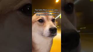 It's all in the eyes #sales #meme #funny #salesmeme #funnyvideos #ytshorts #shortsfeed #shorts