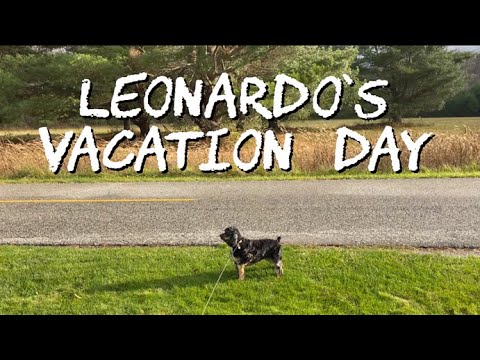 Leonardo The Cocker Spaniel Takes a Vacation