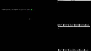 linux killall command