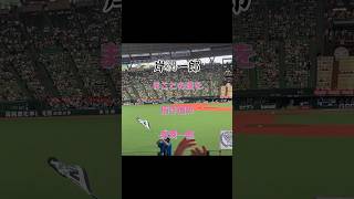 岸潤一郎 応援歌 ライオンズ #岸潤一郎 #ライオンズ #応援歌 #seibulions #shorts