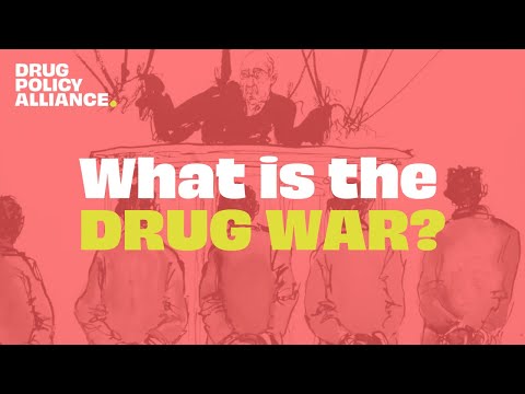 What is the Drug War? With Jay-Z & Molly Crabapple