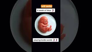 6 weeks fetus #babyusg #pregnant #ultrasound #babyultrasound #baby #pregnancyscan #fetus #babyscan