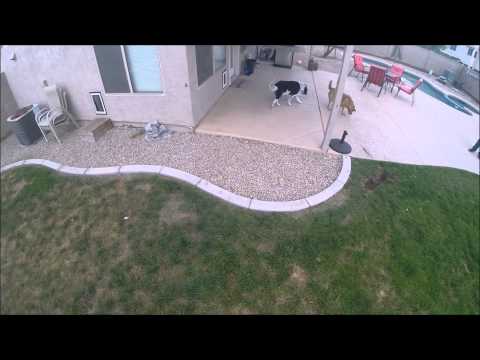 Flying in the Backyard