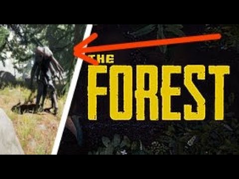 NOAH IS BEING BULLIED| the forest mega episode