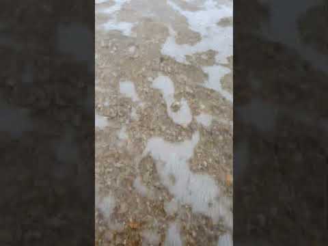 talking waves