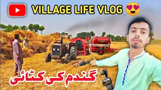 Thresher Machine Vlog 😘 Gandamka fasal Vlog 💞 subscribe my channel  #viralvideo #vlog #villagelife