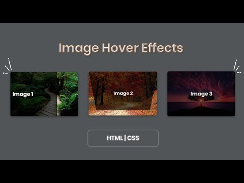 Image Hover Effects | HTML | CSS
