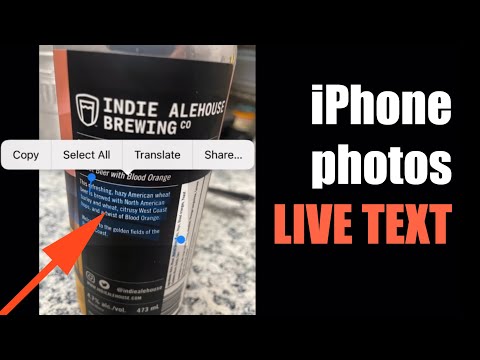 How To Use "Live Text" In iPhone Photos App