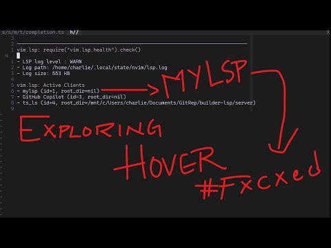 LSP from Scratch | Fixing the Hover Feature