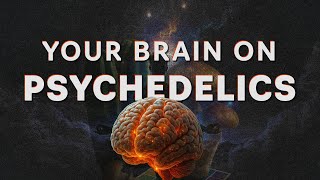 What Happens When You Take Psychedelics? | Neuroscience Explained