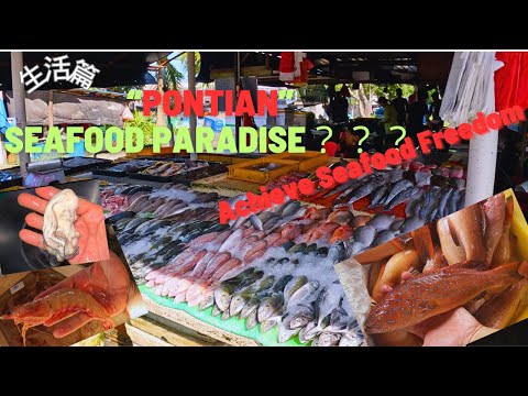 【Roy新加坡旅居生活】【生活篇】Malaysia Pontian Seafood Paradise | Let you achieve seafood freedom！ |分享 🇲🇾購買海鮮指南