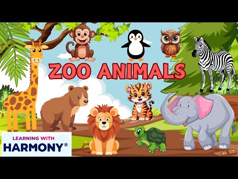 FUN WITH ZOO ANIMALS - LEARNING WITH HARMONY