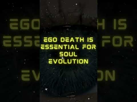 The Law of Transformation