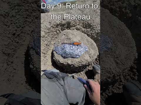 White River Badlands. Day 9: Return to the Plateau #paleoanalysis #fossilnerdadventures #shorts