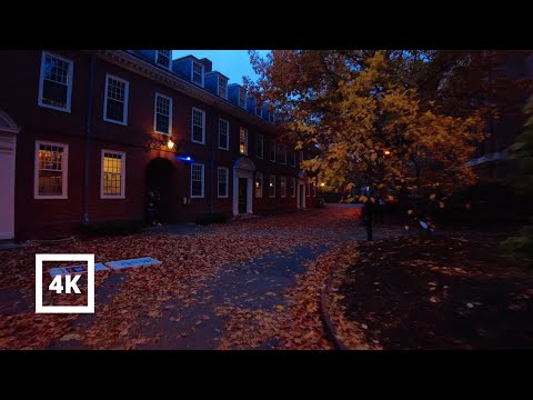 4K | Cozy Evening in the Fall at Harvard | ASMR City Sounds